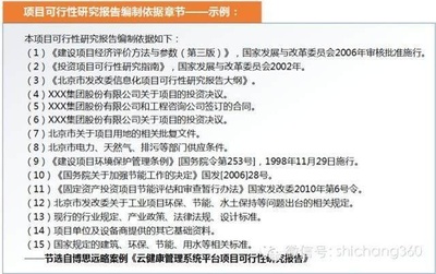 博思远略 可行性研究报告（甲级资质）的类型与标准范文示例