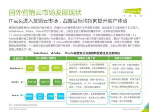 2019年中国营销云市场研究报告 数字化转型下的新机遇